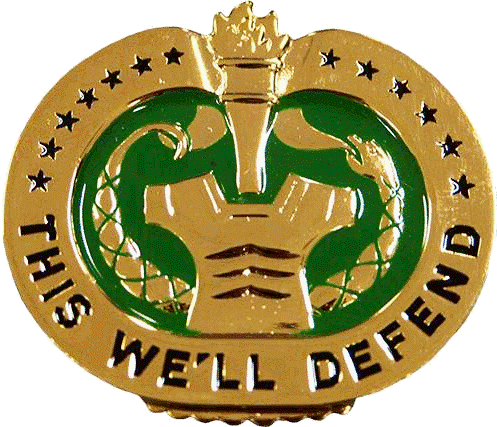 Drill Instructor Badge